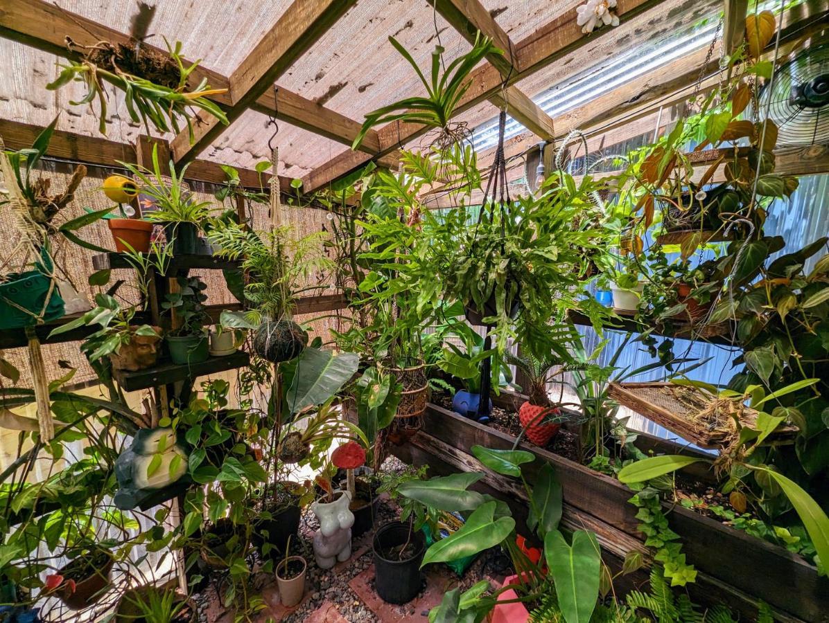 Вилла Cozy Af Tiny-House Oasis Тампа Экстерьер фото