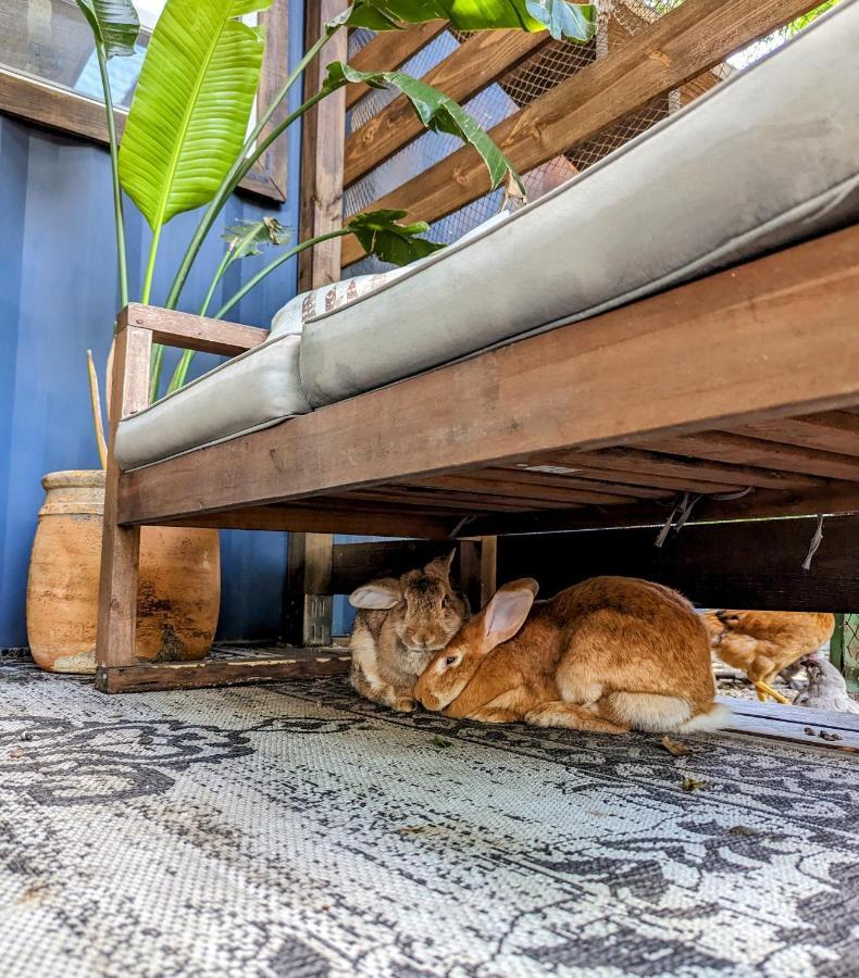 Вилла Cozy Af Tiny-House Oasis Тампа Экстерьер фото