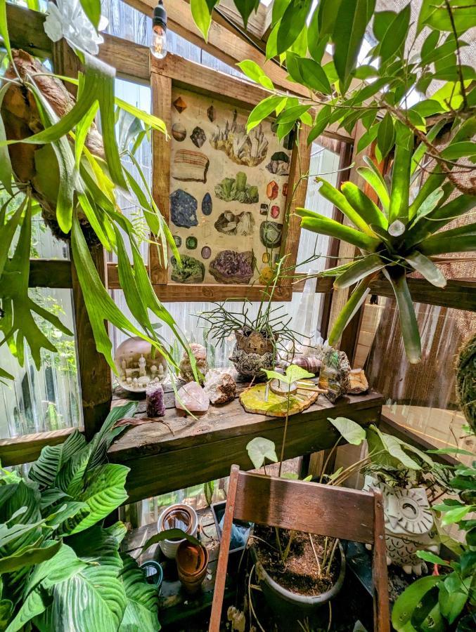 Вилла Cozy Af Tiny-House Oasis Тампа Экстерьер фото